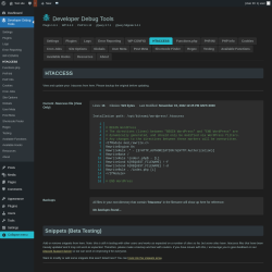 Page screenshot: Developer Debug Tools &rarr; HTACCESS