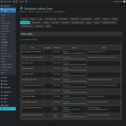 Page screenshot: Developer Debug Tools &rarr; Cron Jobs