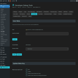 Page screenshot: Developer Debug Tools &rarr; User Meta