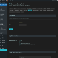 Page screenshot: Developer Debug Tools &rarr; Post Meta