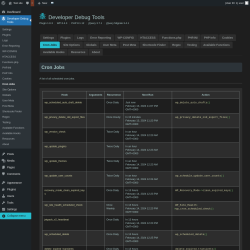 Page screenshot: Developer Debug Tools &rarr; Cron Jobs