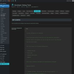 Page screenshot: Developer Debug Tools &rarr; WP-CONFIG