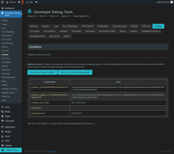 Page screenshot: Developer Debug Tools &rarr; Cookies