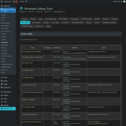 Page screenshot: Developer Debug Tools &rarr; Cron Jobs