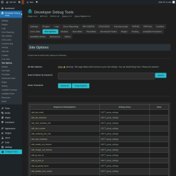 Page screenshot: Developer Debug Tools &rarr; Site Options