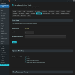 Page screenshot: Developer Debug Tools &rarr; Post Meta