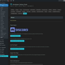 Page screenshot: Developer Debug Tools &rarr; About