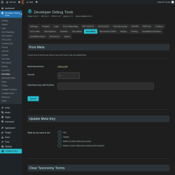 Page screenshot: Developer Debug Tools &rarr; Post Meta