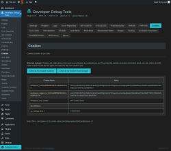 Page screenshot: Developer Debug Tools &rarr; Cookies