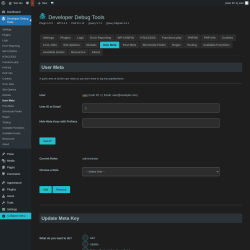 Page screenshot: Developer Debug Tools &rarr; User Meta
