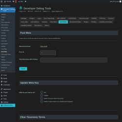 Page screenshot: Developer Debug Tools &rarr; Post Meta