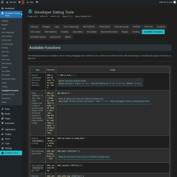 Page screenshot: Developer Debug Tools &rarr; Available Functions