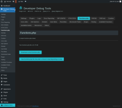 Page screenshot: Developer Debug Tools &rarr; Functions.php