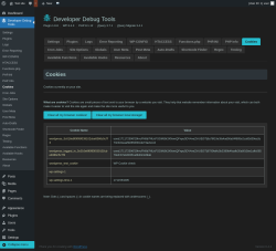 Page screenshot: Developer Debug Tools &rarr; Cookies