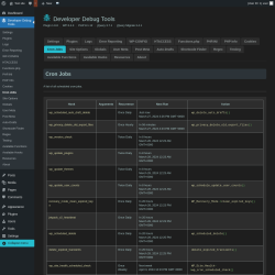 Page screenshot: Developer Debug Tools &rarr; Cron Jobs