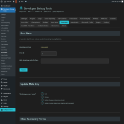 Page screenshot: Developer Debug Tools &rarr; Post Meta