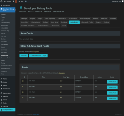 Page screenshot: Developer Debug Tools &rarr; Auto-Drafts