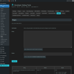 Page screenshot: Developer Debug Tools &rarr; Regex