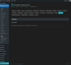 Page screenshot: Developer Debug Tools &rarr; Testing