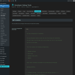 Page screenshot: Developer Debug Tools &rarr; WP-CONFIG