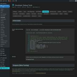 Page screenshot: Developer Debug Tools &rarr; HTACCESS