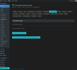 Page screenshot: Developer Debug Tools &rarr; Functions.php