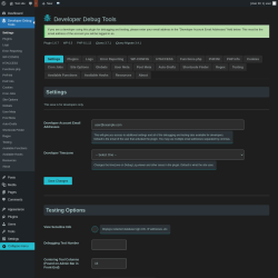 Page screenshot: Developer Debug Tools