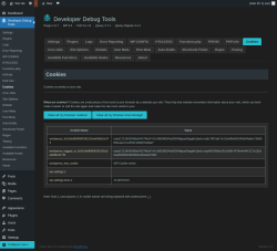 Page screenshot: Developer Debug Tools &rarr; Cookies