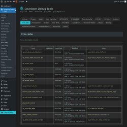 Page screenshot: Developer Debug Tools &rarr; Cron Jobs