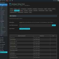 Page screenshot: Developer Debug Tools &rarr; Site Options
