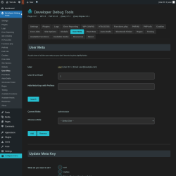 Page screenshot: Developer Debug Tools &rarr; User Meta