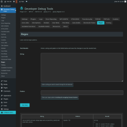 Page screenshot: Developer Debug Tools &rarr; Regex
