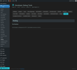 Page screenshot: Developer Debug Tools &rarr; Testing