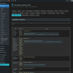 Page screenshot: Developer Debug Tools &rarr; Available Functions