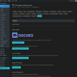 Page screenshot: Developer Debug Tools &rarr; About
