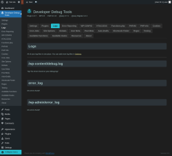 Page screenshot: Developer Debug Tools &rarr; Logs