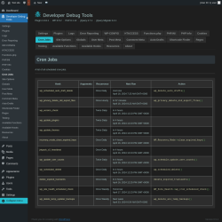Page screenshot: Developer Debug Tools &rarr; Cron Jobs