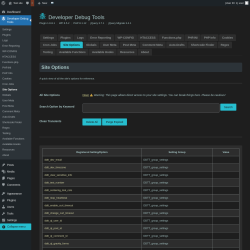 Page screenshot: Developer Debug Tools &rarr; Site Options