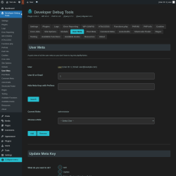 Page screenshot: Developer Debug Tools &rarr; User Meta