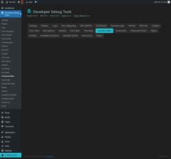 Page screenshot: Developer Debug Tools &rarr; Comment Meta