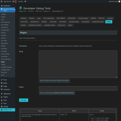 Page screenshot: Developer Debug Tools &rarr; Regex
