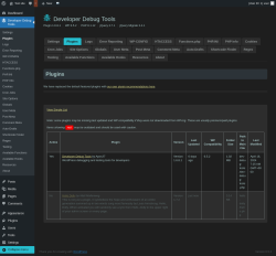Page screenshot: Developer Debug Tools &rarr; Plugins