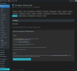Page screenshot: Developer Debug Tools &rarr; Testing