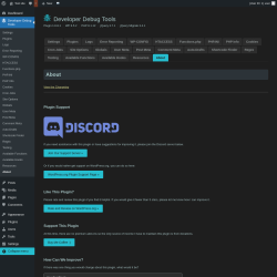 Page screenshot: Developer Debug Tools &rarr; About