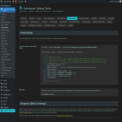 Page screenshot: Developer Debug Tools &rarr; HTACCESS