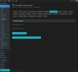 Page screenshot: Developer Debug Tools &rarr; Functions.php