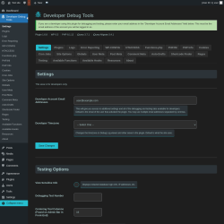 Page screenshot: Developer Debug Tools