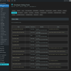 Page screenshot: Developer Debug Tools &rarr; Cron Jobs