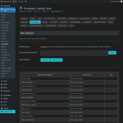 Page screenshot: Developer Debug Tools &rarr; Site Options