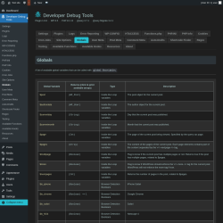 Page screenshot: Developer Debug Tools &rarr; Globals